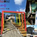 마산애견 이미지