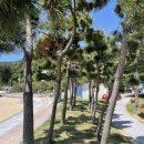 거제도펜션 하늘아리 이미지