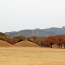 대릉원 이미지