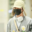 샤이니플라워 이미지