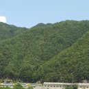 분천1리 이미지