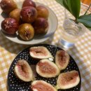 영오농장 이미지