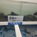 금호수산 이미지