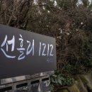 선흘1212