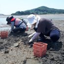 소소스토리펜션 이미지