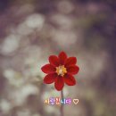 로드뮤직 이미지