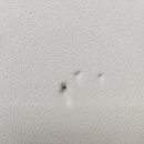 석삼말로2 이미지