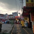우아한 날