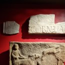 로만바스 이미지