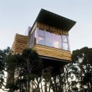 트리하우스 이미지