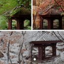[서울] 석파정 / 흥선대원군 별서, 북악산 자락 전통정원, 도심속 한옥 명소, 부암동 가볼만한 곳