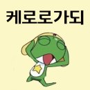 (주)비앤비코리아 | [호주 워홀 일지 #2] 여유로운 호주 사람들 속 바쁘게 돌아가는 나
