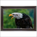 소품풍경 이미지