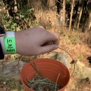 연동목장 이미지