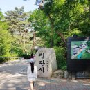 나무와 친해지기 이미지