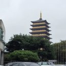 신평동1050 | [블챌] 러닝 중고신입의 2025 경주마라톤 10K 완주 후기(+경주여행)