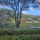 여주-0661 네이버블로그