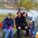 성산공원 이미지