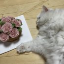 루디아케이크