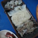 대머리산오징어 Daum카페