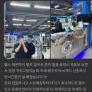 코코휘트니스 이미지
