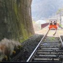 김유정로 | 춘천 김유정 레일바이크 후기 벚꽃, 터널, 낭만열차까지 완벽 코스