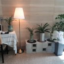 더뷰티호텔 이미지