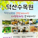 덕산수목원 이미지