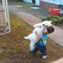 강아지사랑 이미지