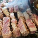 섬데이제주 이미지