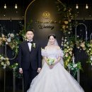 아이티정 이미지