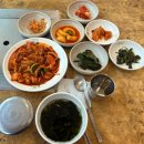 나혼자 뚜벅이여행 꿀팁 1일차 내돈내산 (금능이큐스테이, 월령포구 스노쿨링&amp;샤워시설,금능해수욕장...