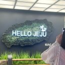 (주)테라앤 | 제주도] 친구들이랑 여름 제주도 남쪽 여행 - 깡촌흑돼지 | 테라로사 | 법환포구 | 유니클로 | 산방산 카페