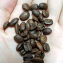 고릴라 커피 이미지