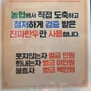 광주맛집 | 광주 가성비 한우집, 개그맨 이상준이 대표인 꾸석지돌판한우 광주운암점 후기