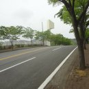 망마경기장 이미지