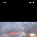 미스핏스튜디오 이미지