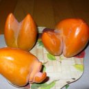 기형농장 이미지