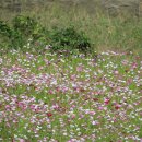 문산 프리마루체 앞 이미지