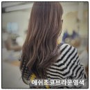 성복플라자 | 성복역 미용실 애쉬 초코브라운 염색 제대로 맛본 후기
