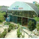 조이풀식물원 이미지