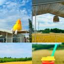 화광농장 이미지