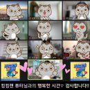킹사이클