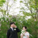 W5. 인천 야외 웨딩스냅 촬영후기 - 필카이브, 세이웨딩, 마중by항아 필승조합