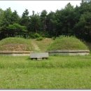 음성(남이) 이미지