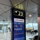 조약국 | (3) EXIT TO ICELAND