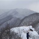 초심