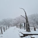 제863차정기산행 2/3 단양 소백산 눈산행 이미지