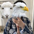 조아빈티지 이미지