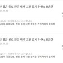 태백고원김치 네이버블로그